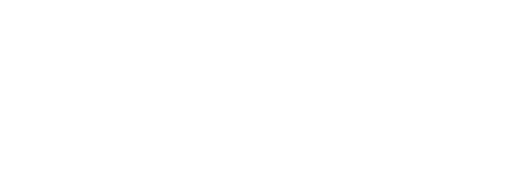 FirstWatch Partners